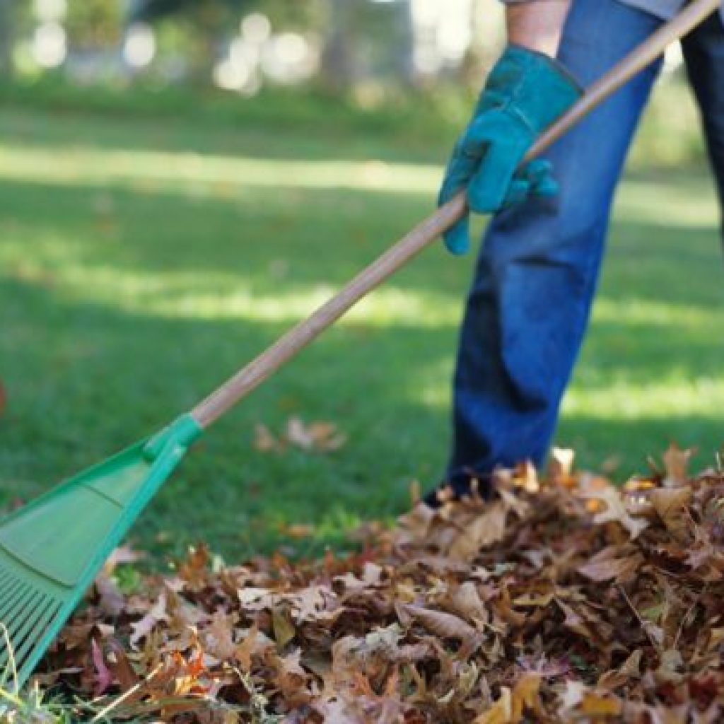 seguro para empresas de limpieza y jardinería